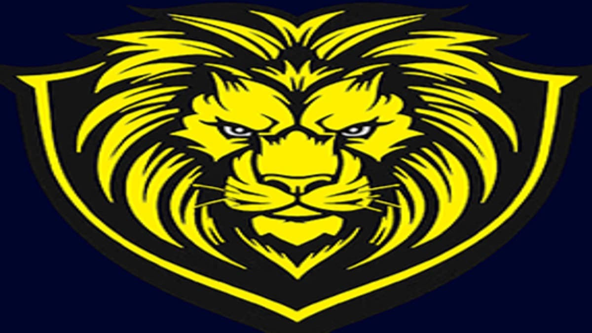 Download Lion VPN Lion VPN Filter - VPN Service