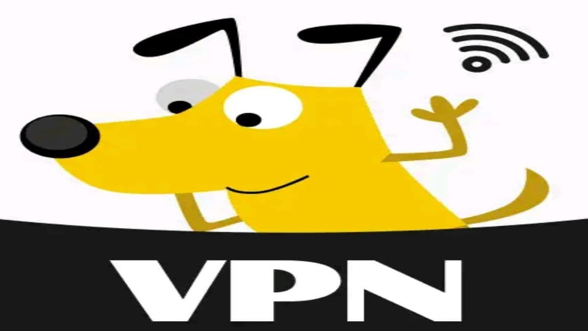 دانلود وی پی ان جدید سگ Pico VPN - سرویس فیلتر شکن