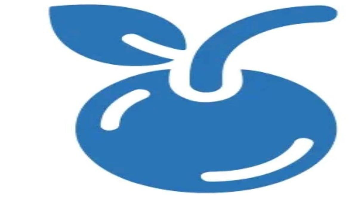 Download and install Cherry VPN Cherry Breaker Filter - VPN Service